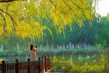 足球比分预测巴萨-足球比分预测巴萨，科学分析与激情碰撞的交织