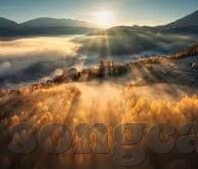 足球直播500比分-足球直播500比分，开启足球激情与资讯的全新视界
